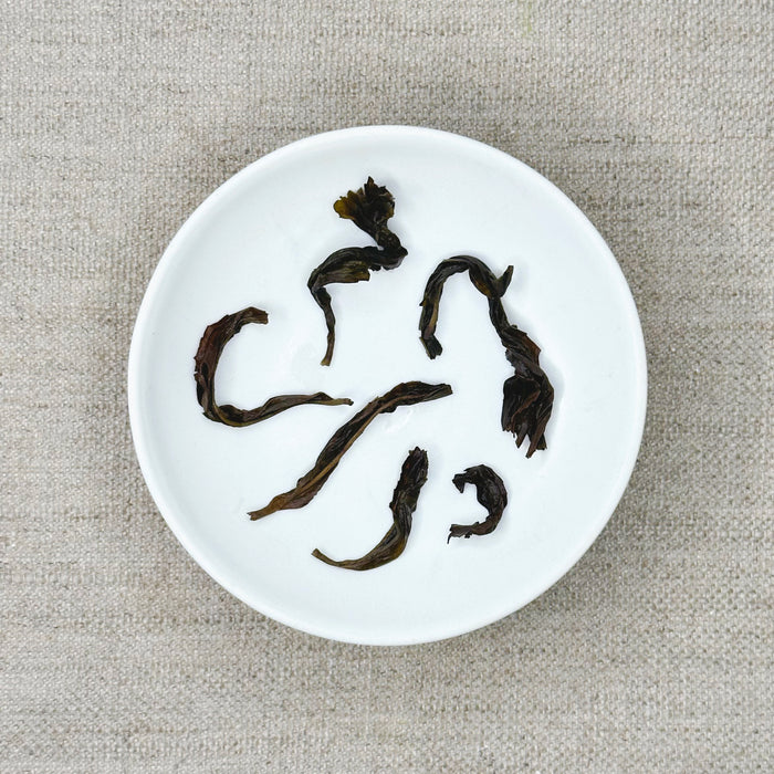Fan Shu Xiang
