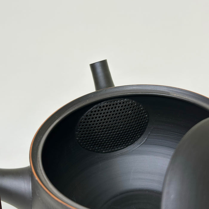 Kyusu Tokoname